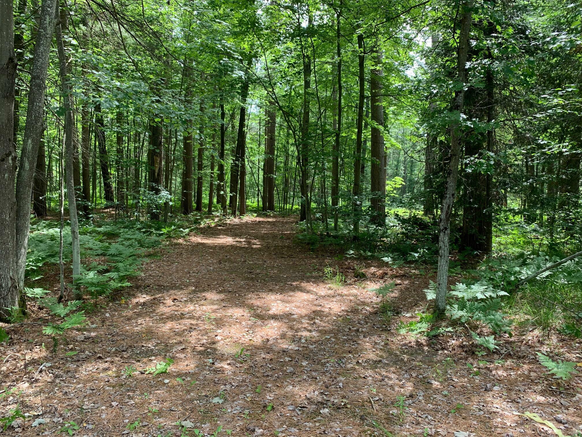 Property Photo:  Pinewood Drive 4.8 Acres  MI 48653 