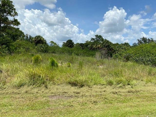 Property Photo:  12030 Lyceum Drive  FL 33953 