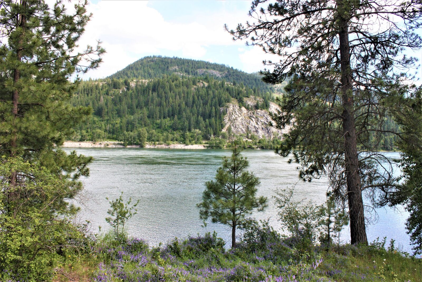 Property Photo:  4080 Mol Northport Flat Creek Rd  WA 99157 