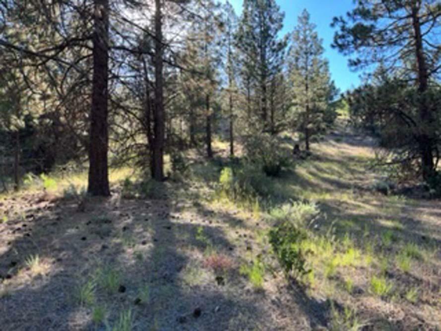 Property Photo:  Lot 32 Wilderness Way  OR 97601 