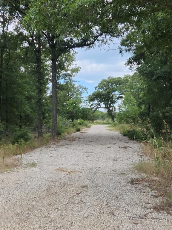 Property Photo: 25 Acres Acr 493 County Road TX 75832
