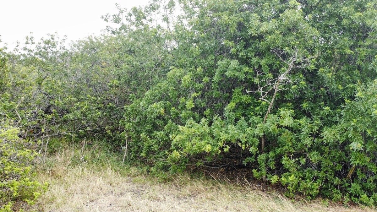 Property Photo:  Pele St  HI 96772 