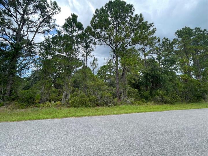 Trapp Street  North Port FL 34291 photo