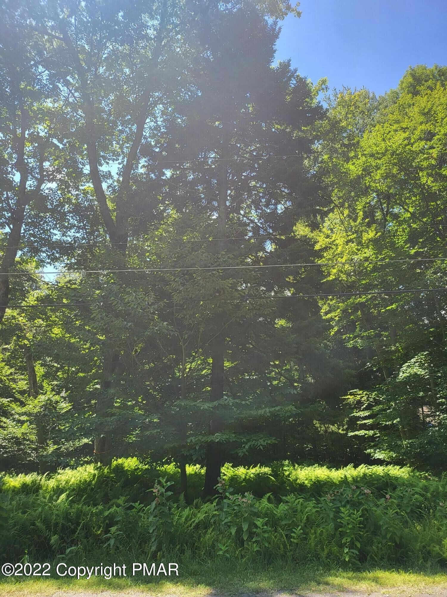 Property Photo: 1112 Sawmill Road PA 18347
