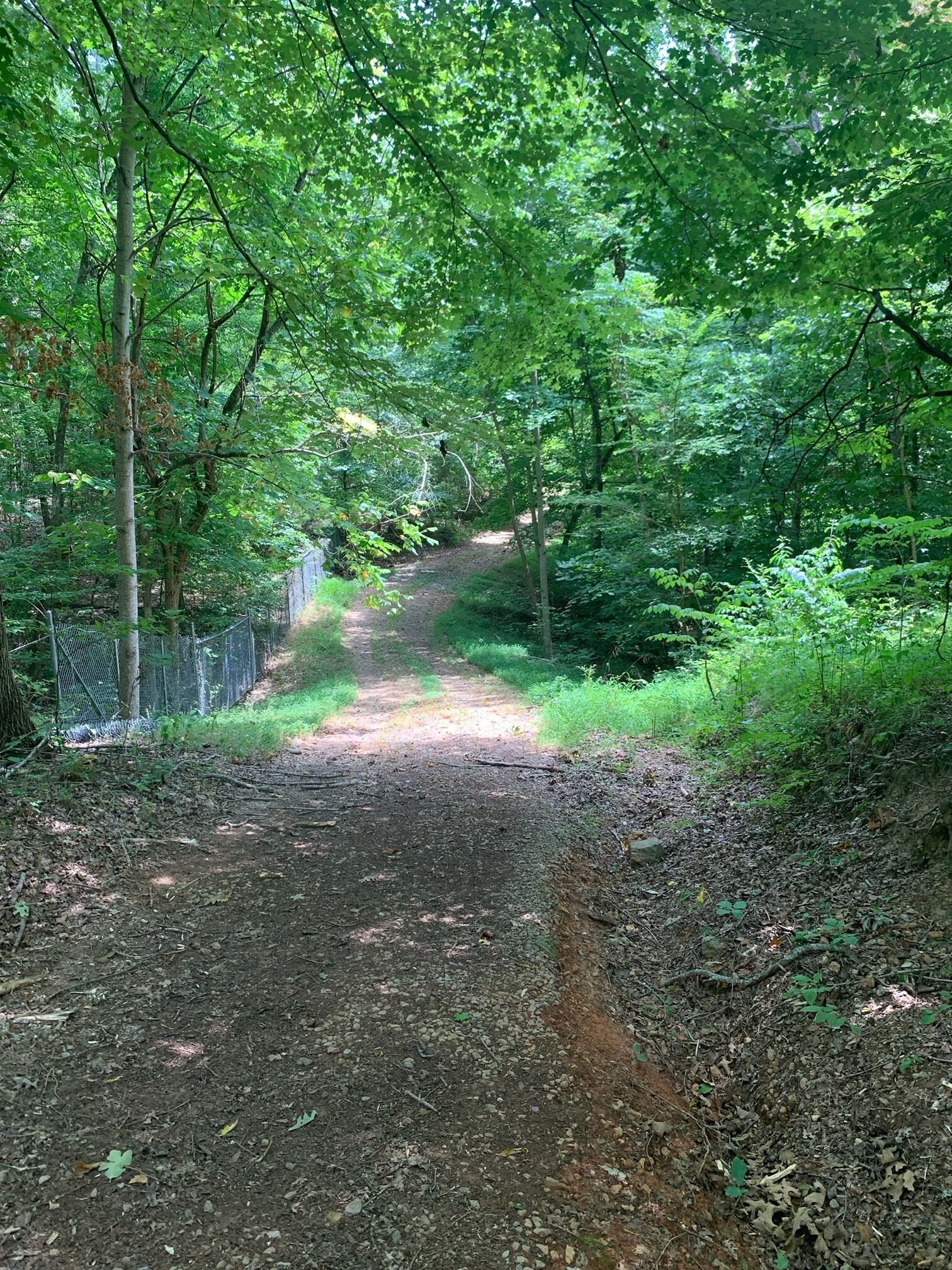 Property Photo:  3962 Moore Hollow Rd  TN 37191 