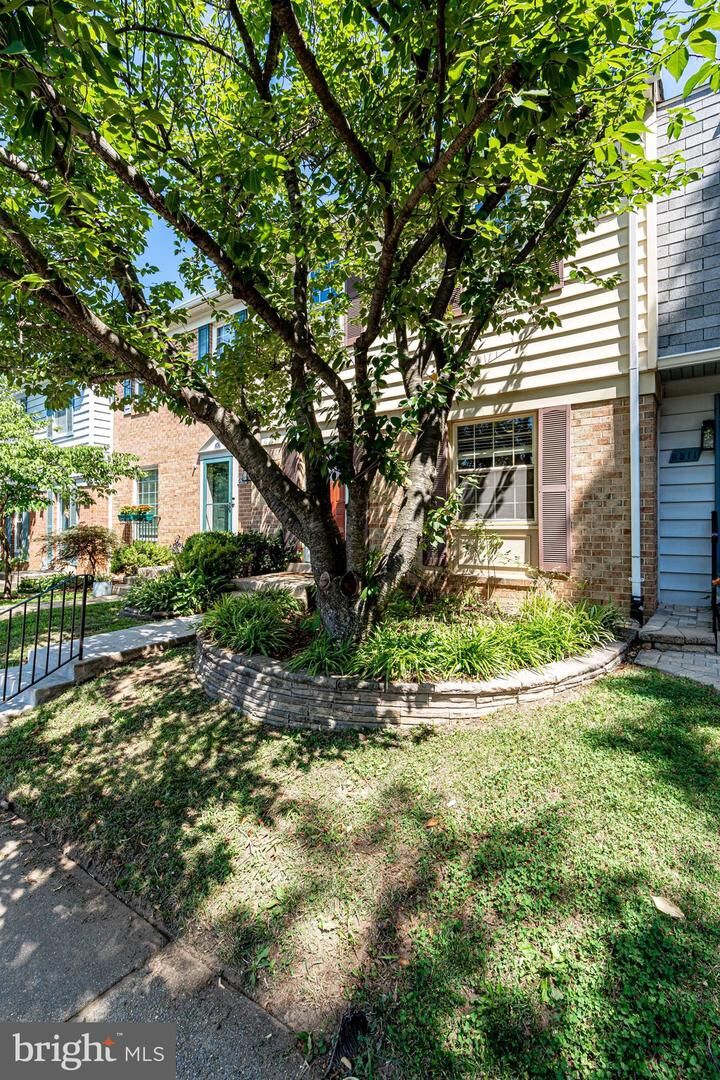 Property Photo:  6509 China Grove Court  VA 22310 