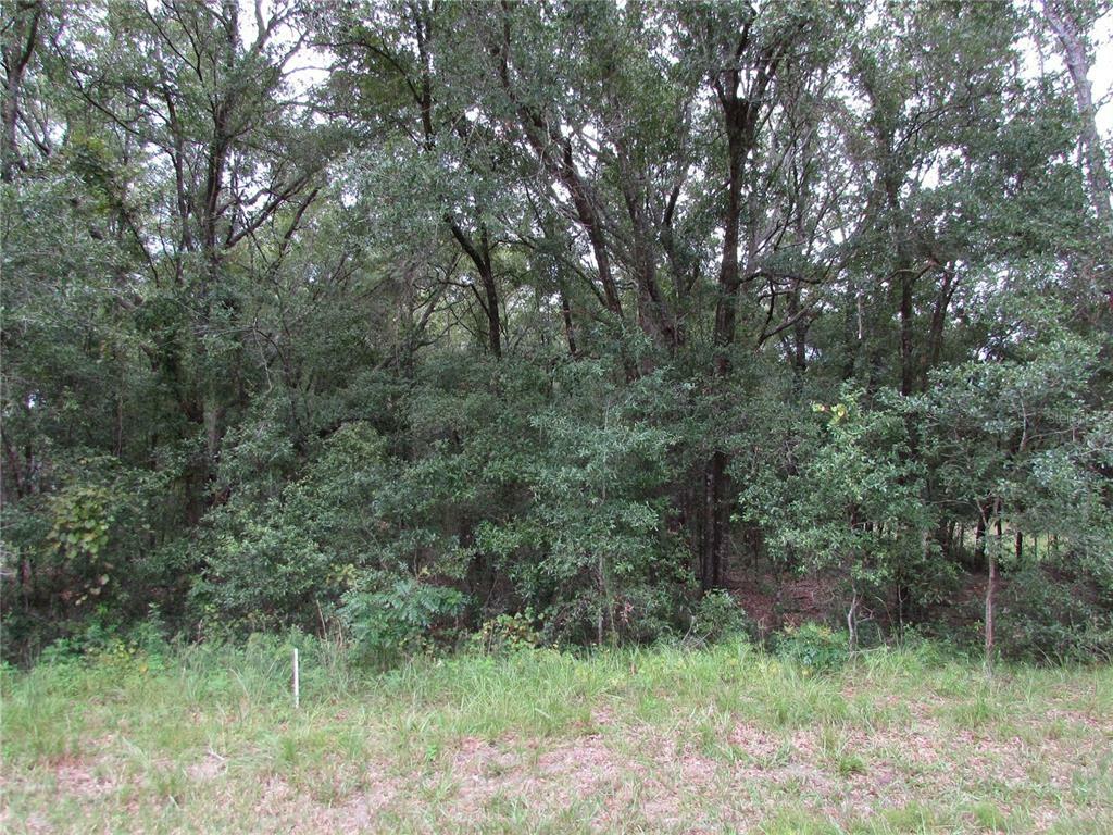 Property Photo:  Tbd SW 190th Court  FL 34432 