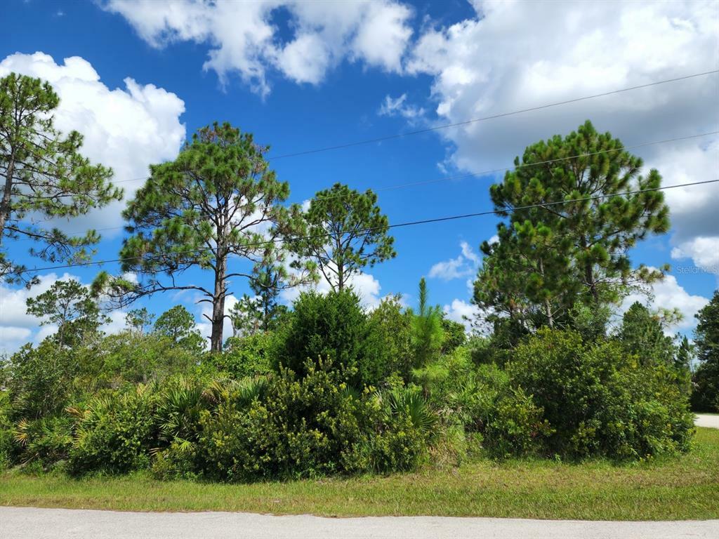 Property Photo:  2 Sea Green Path  FL 32164 