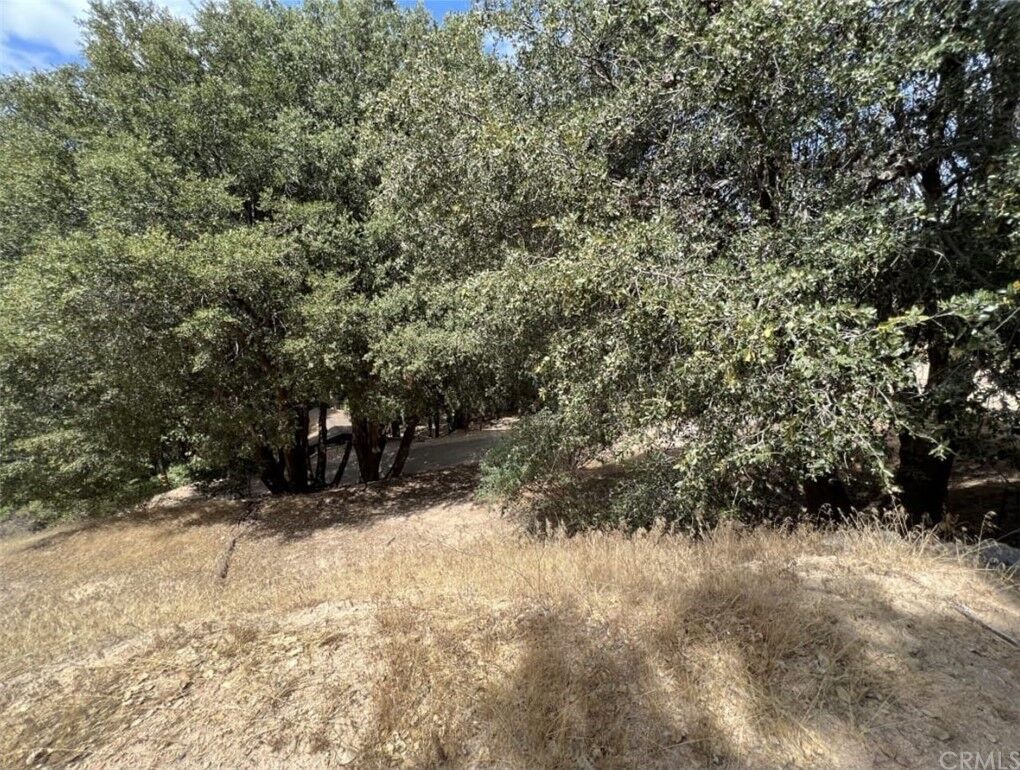 Property Photo: 0 Cedar Aka Moon Drive CA 92325