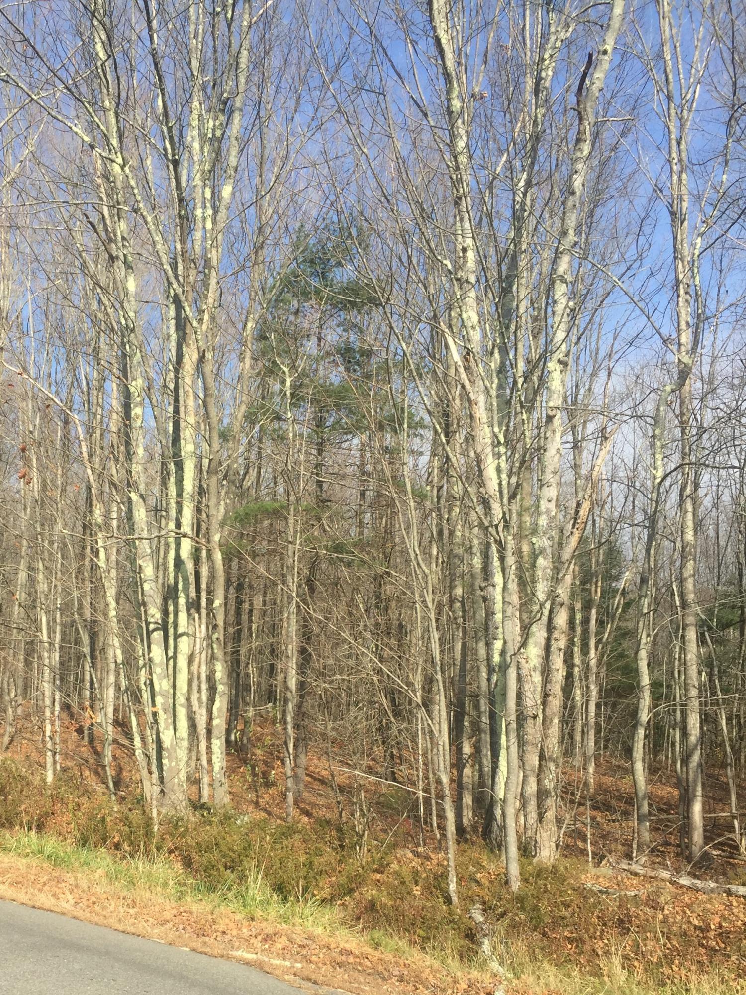 Property Photo:  0 Bowie Hill Road  ME 04222 