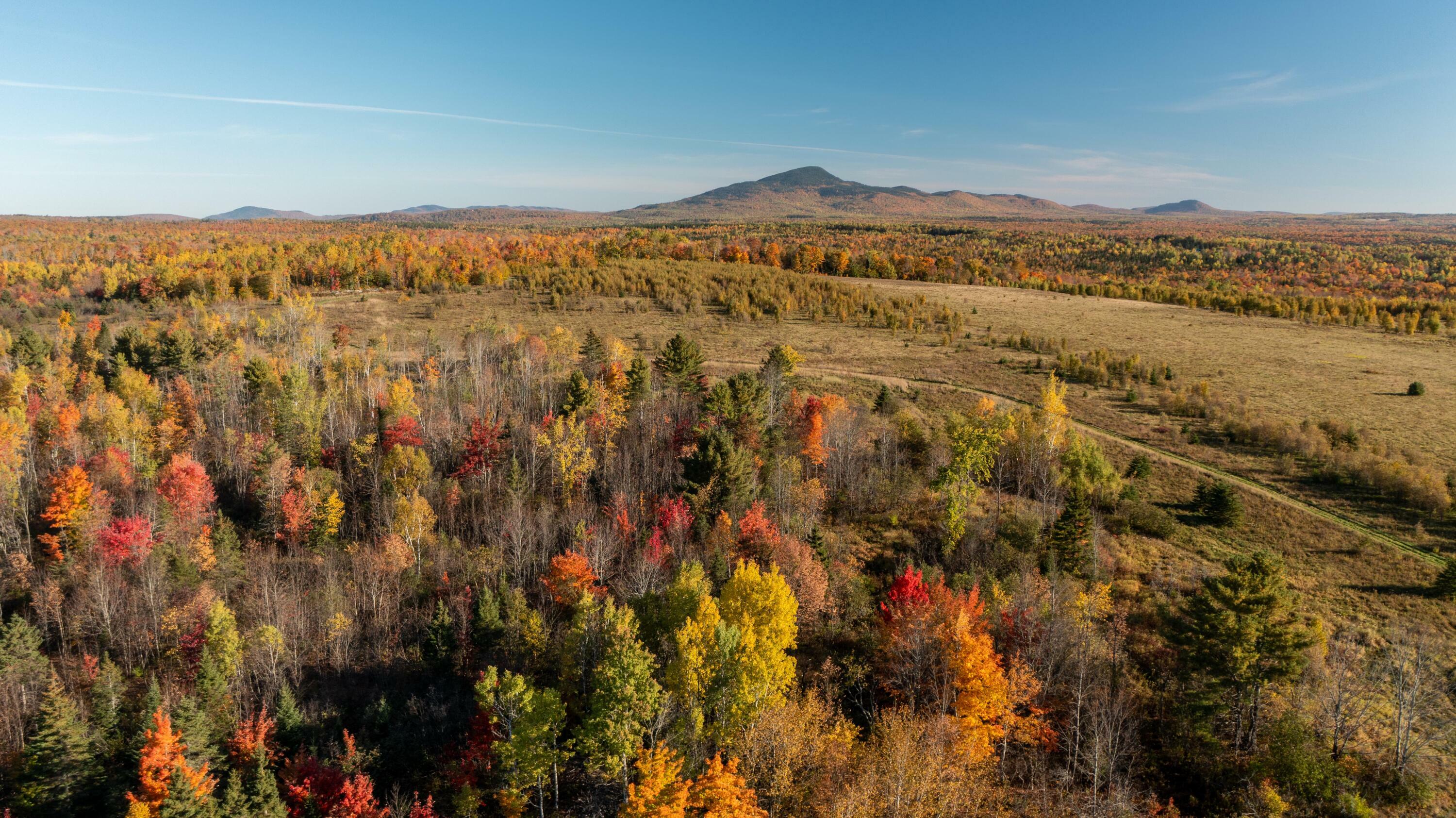 Property Photo:  Lot 5 Barleyville Road  ME 04765 