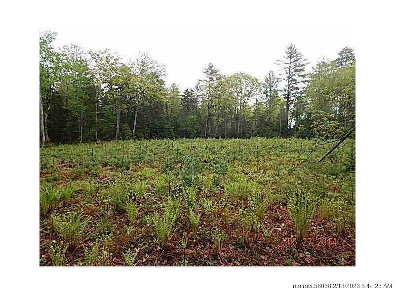 Property Photo: 130 Dune Drive ME 04032