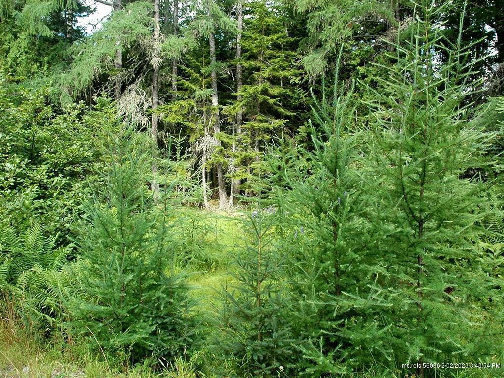Property Photo:  0 Brendun Lane  ME 04660 