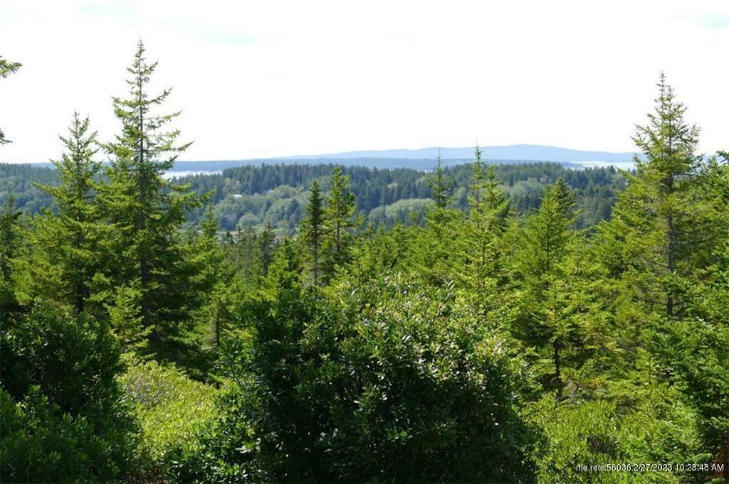 Property Photo:  12 Minturn Road  ME 04685 