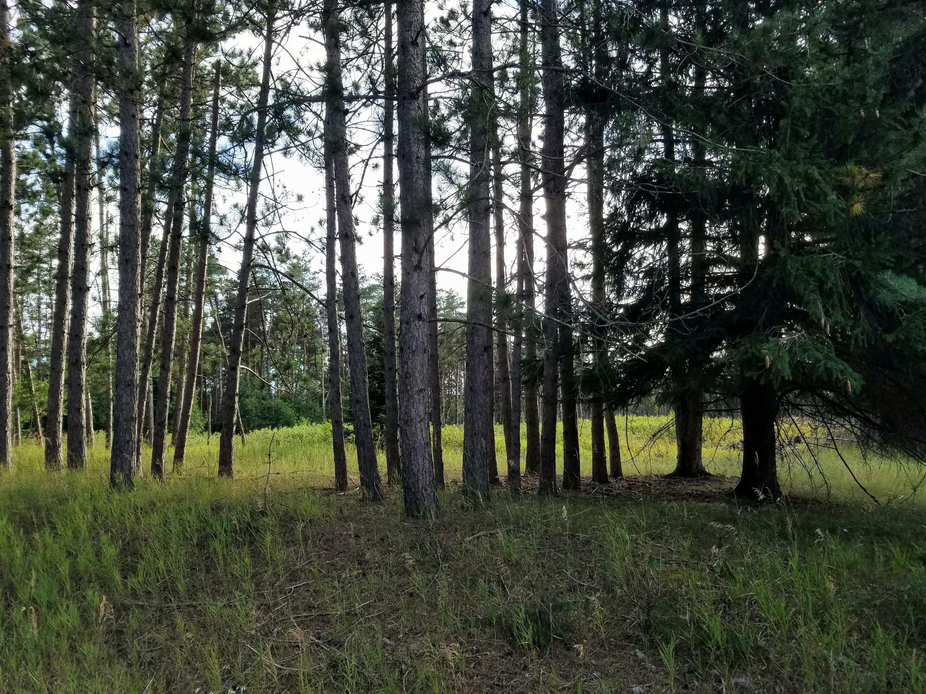 Property Photo:  Parcel N Poquette & River Drive  MI 49735 