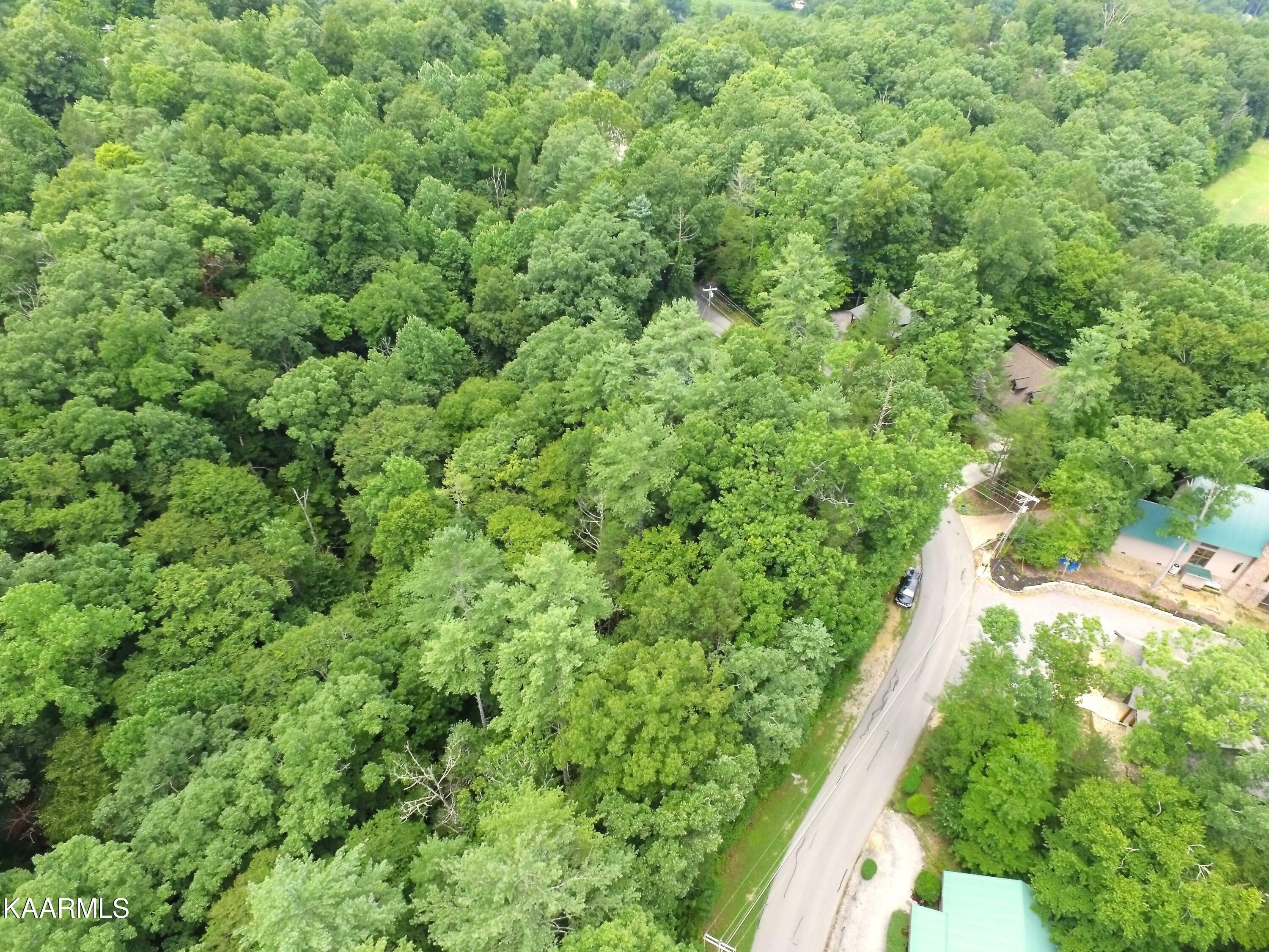 Property Photo:  Laurel Rd  TN 37882 