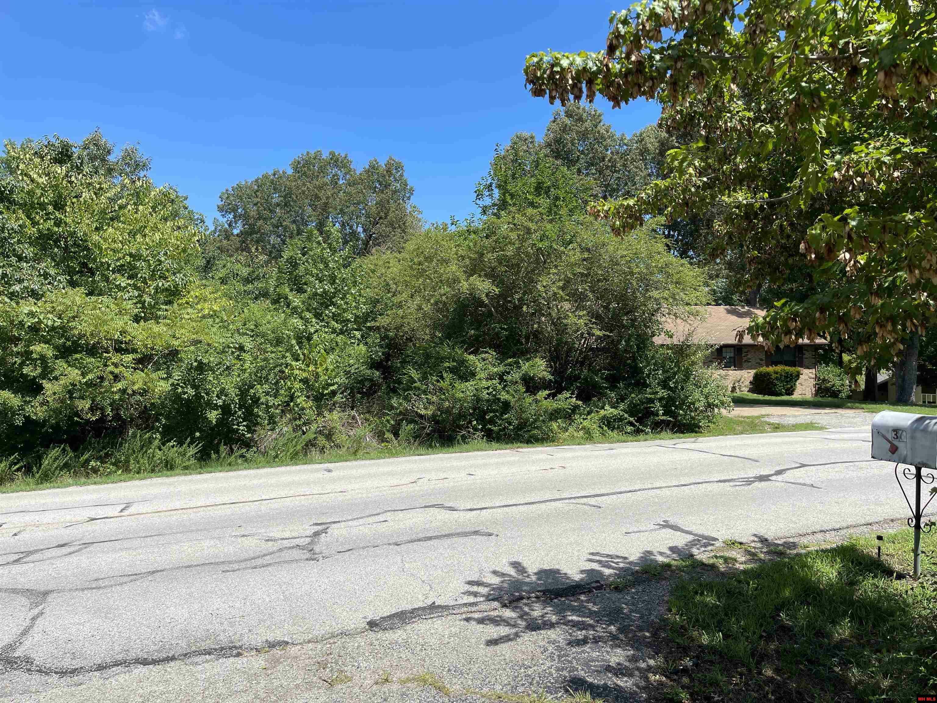 Property Photo: Lot 2 Cambridge Way AR 72653