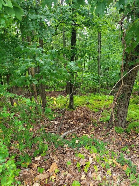 Property Photo:  33 Beech Street  PA 18618 