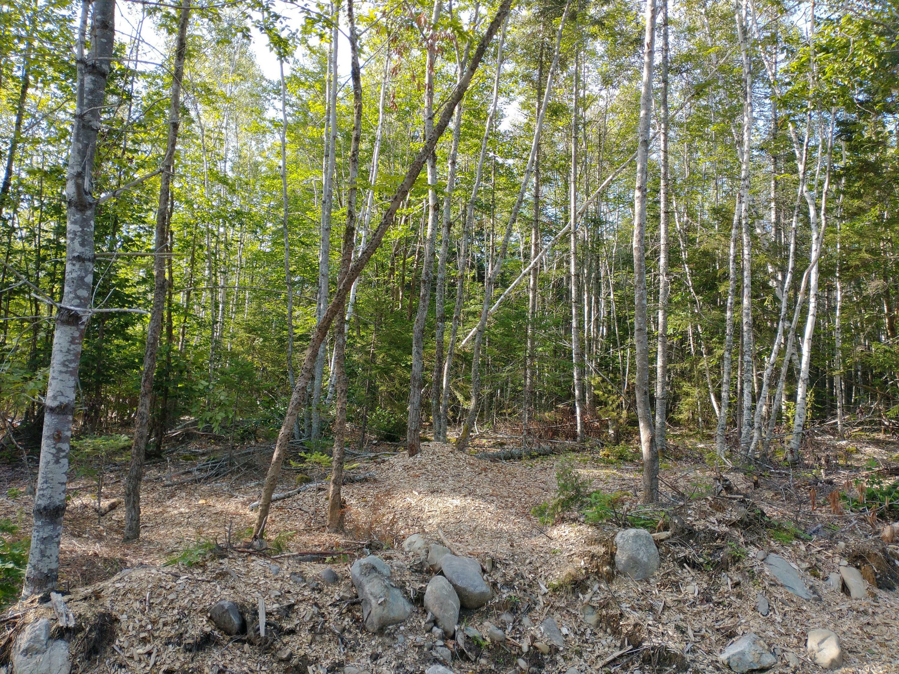 Property Photo:  Lot 11 Sunset Hill Road  ME 04640 