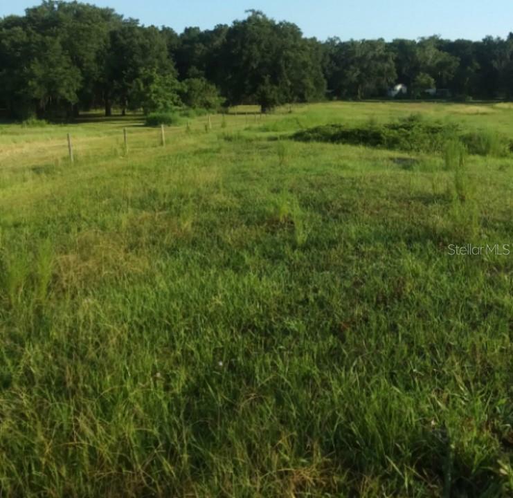 35140 County State Rd 52  Dade City FL 33525 photo