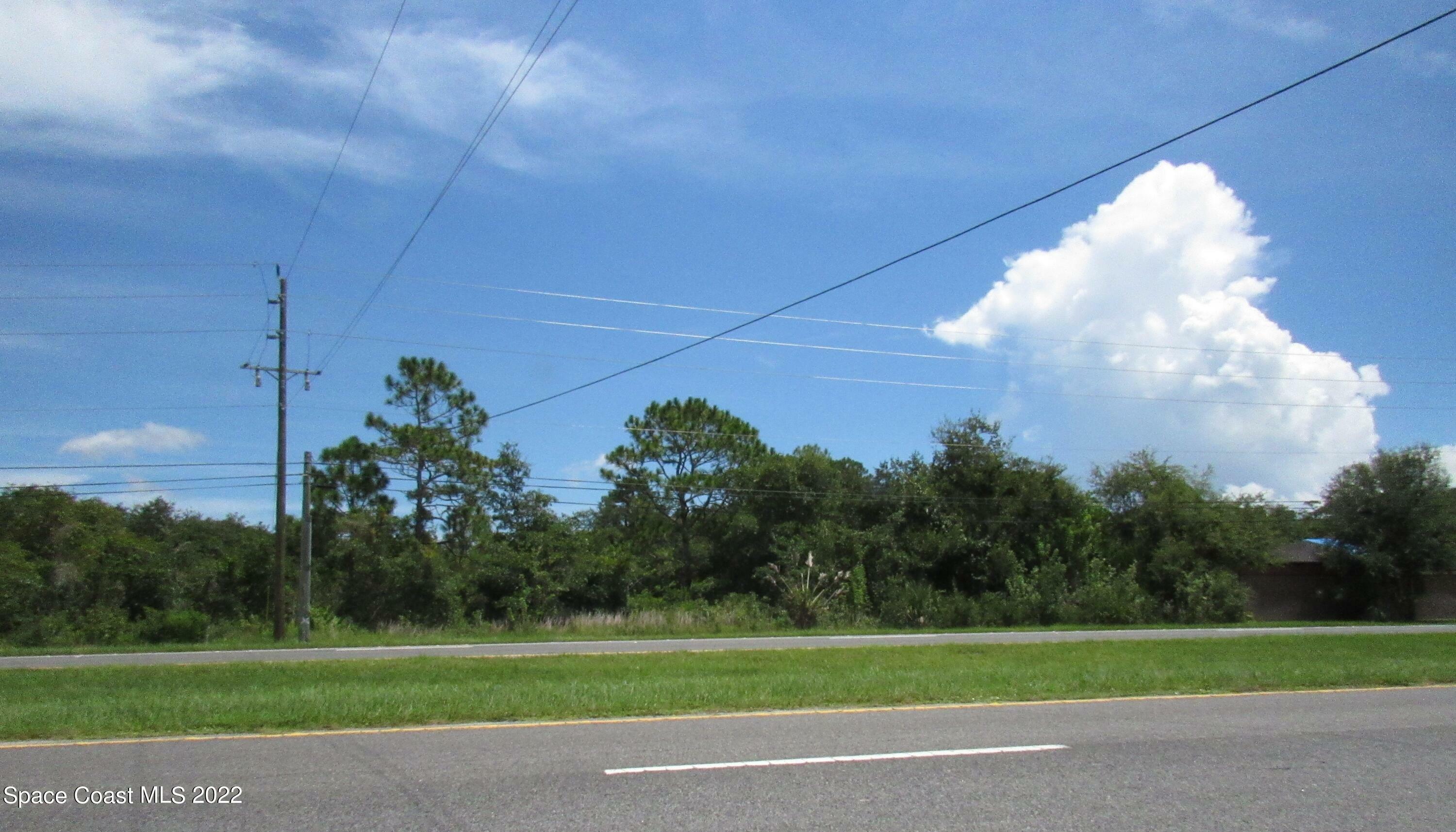 Property Photo:  00 N US Highway 1  FL 32754 