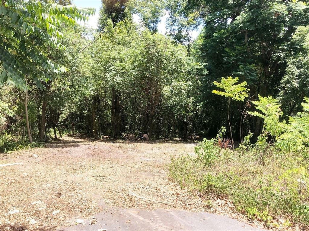 Property Photo:  410 Pinecrest Road  FL 32757 