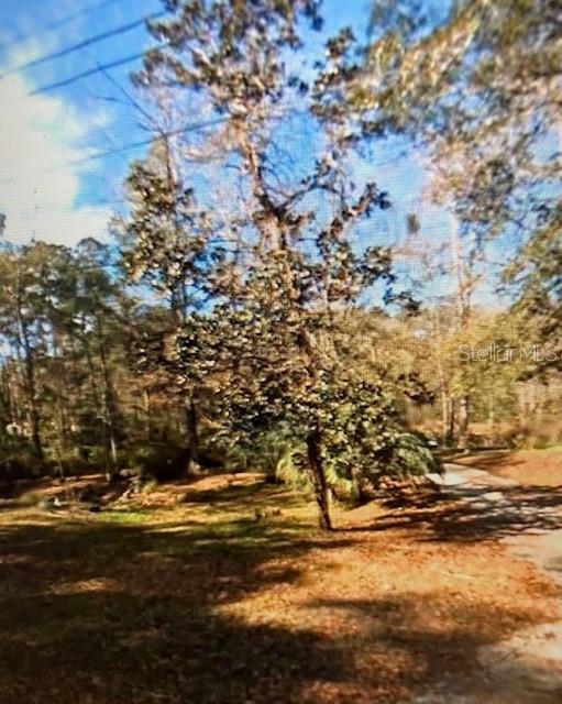 Property Photo: Carracas Street FL 32324
