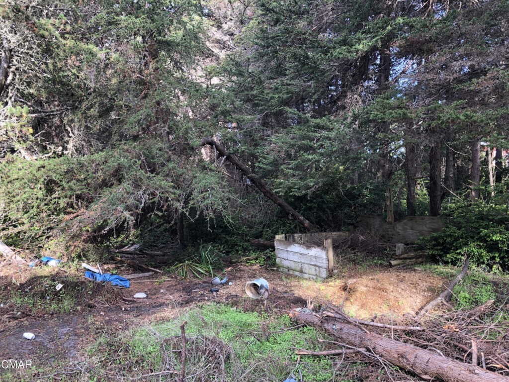 Property Photo: 31500 Turner Road CA 95437