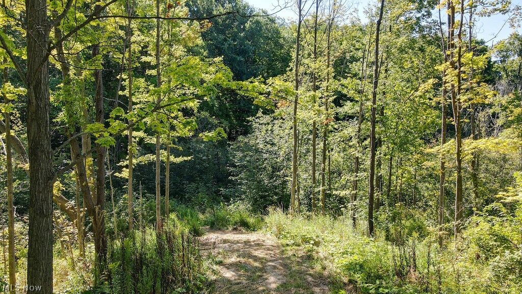 Property Photo: Allyn Road OH 44231