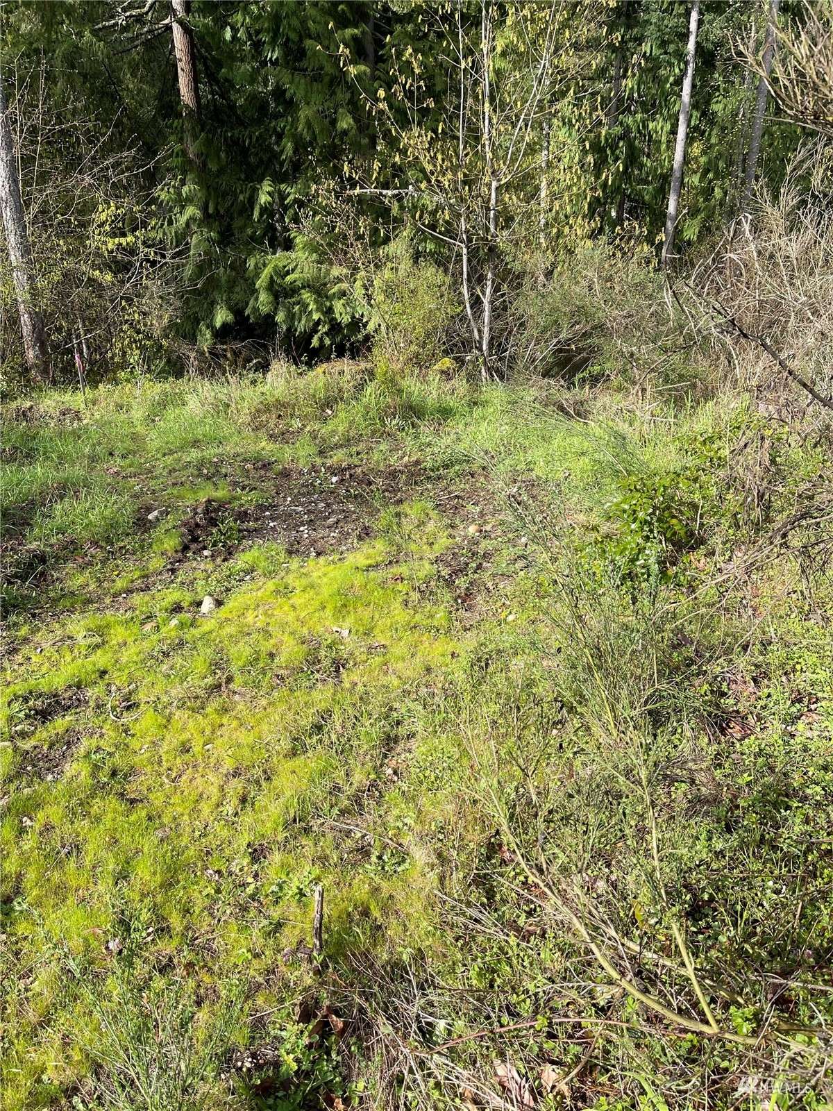 Property Photo:  17905 E Clear Lake Boulevard SE  WA 98597 