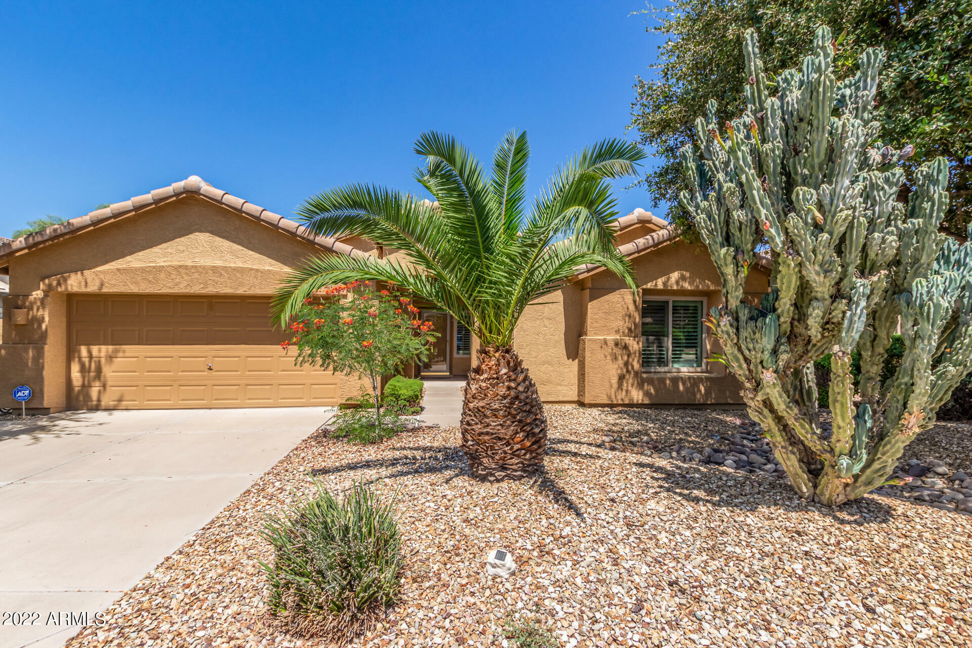 Property Photo:  10204 E Jacob Avenue  AZ 85209 