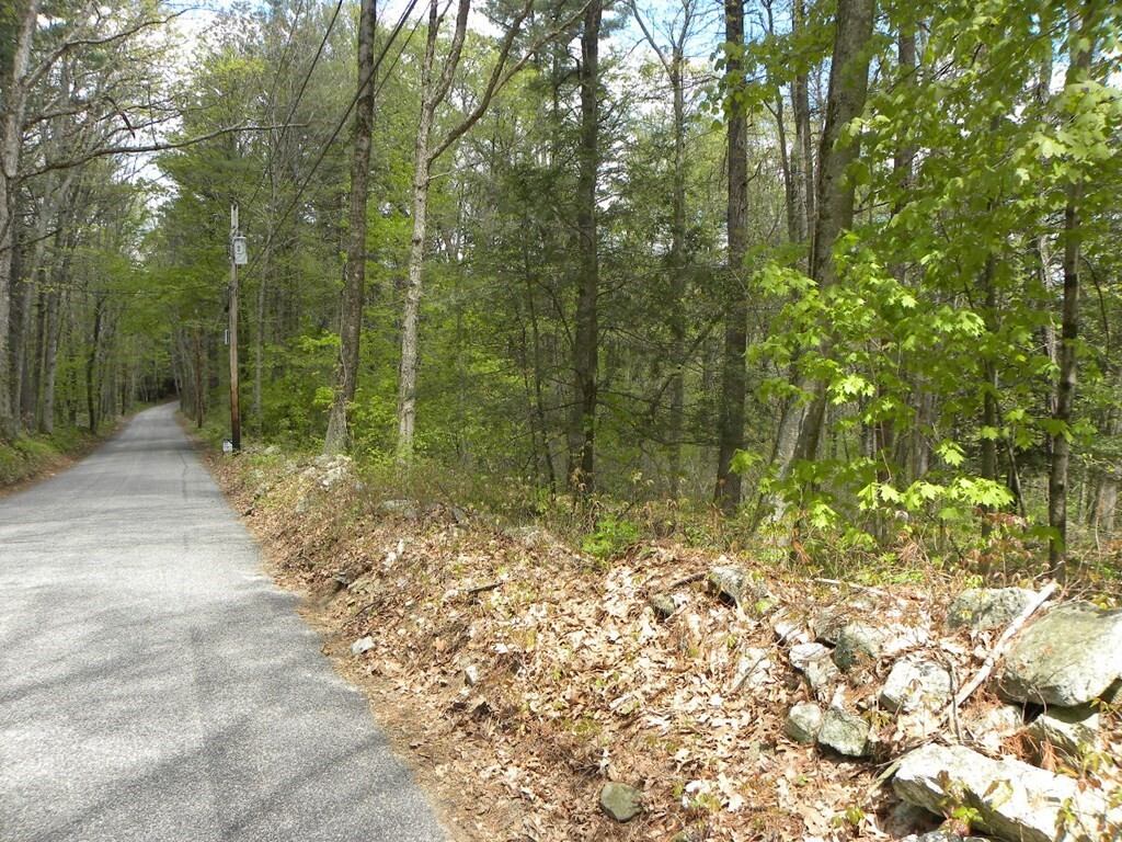 Property Photo:  Lot 1 Denfield  &Amp Lot Guelphwood Rd  MA 01507 