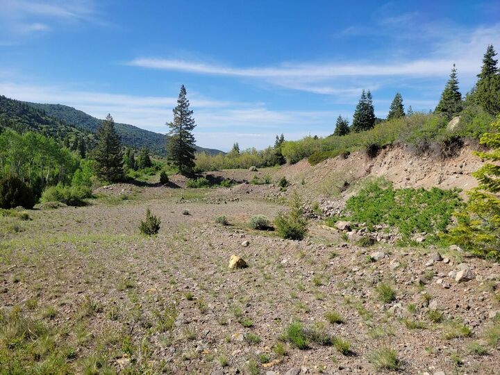 Property Photo:  Braffits Creek Lot 61&62  UT 84719 
