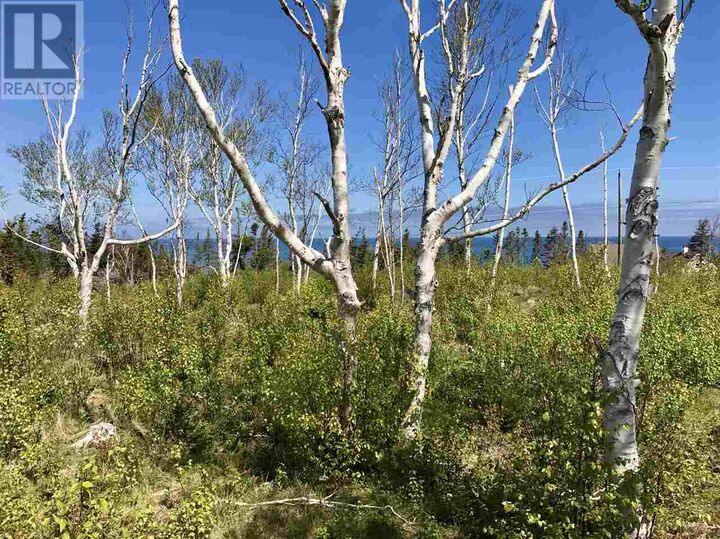Property Photo:  Lot 3 Seabrook Way  NS B2G 2L1 