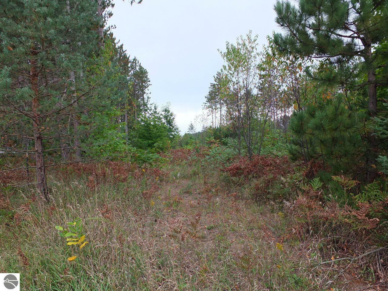 Property Photo:  B2-A Coster Road  MI 49633 