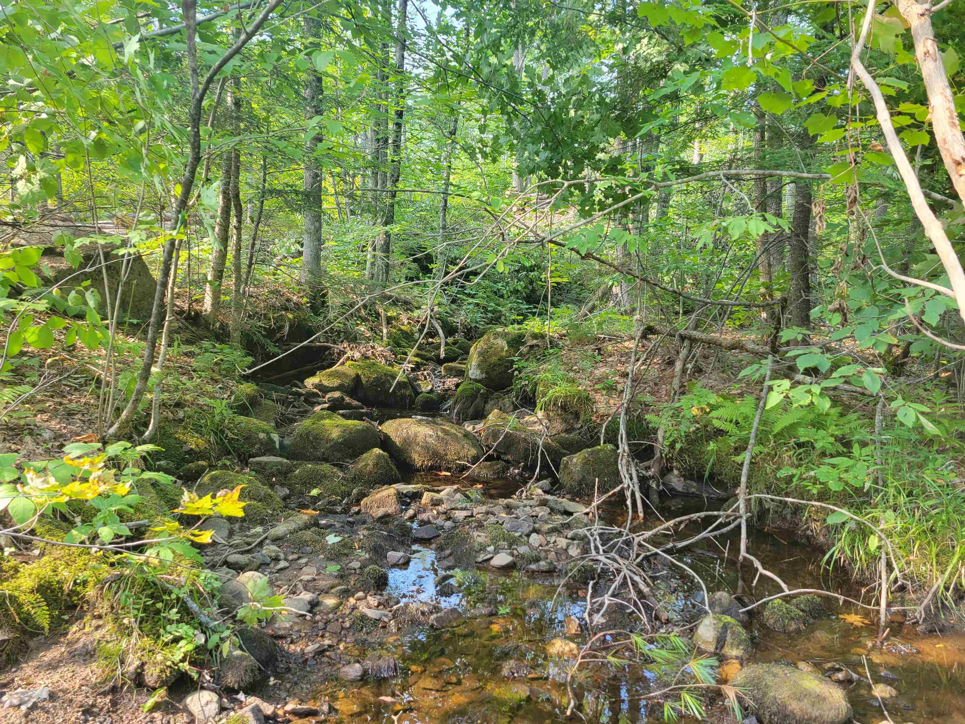 Property Photo: 7-427 Gifford Hill Road NH 03240