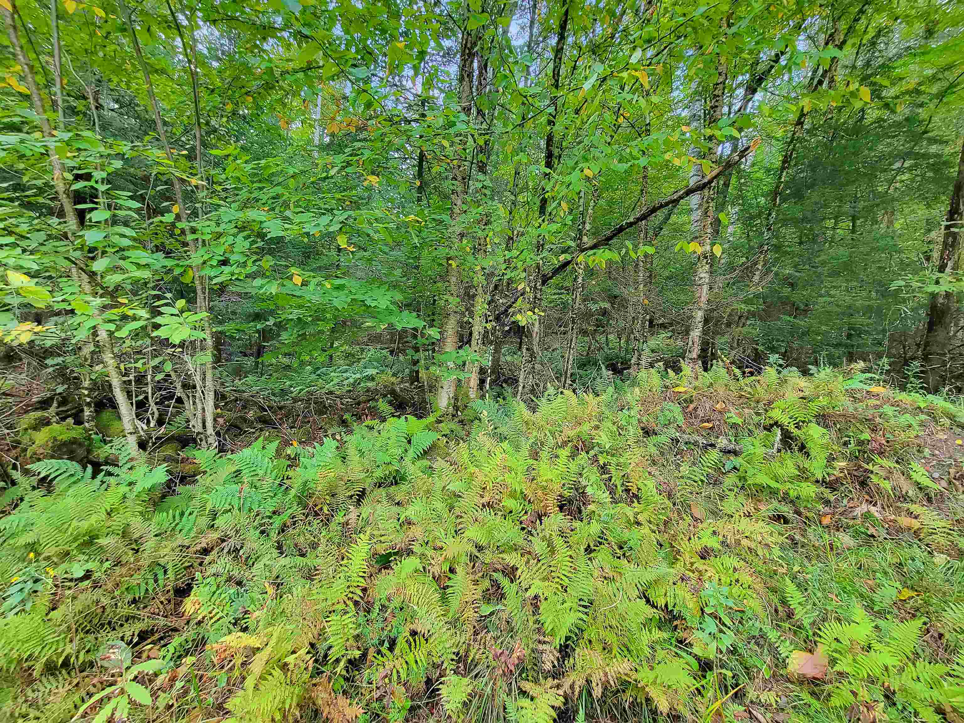 Property Photo: 00 Straford Road NH 03785