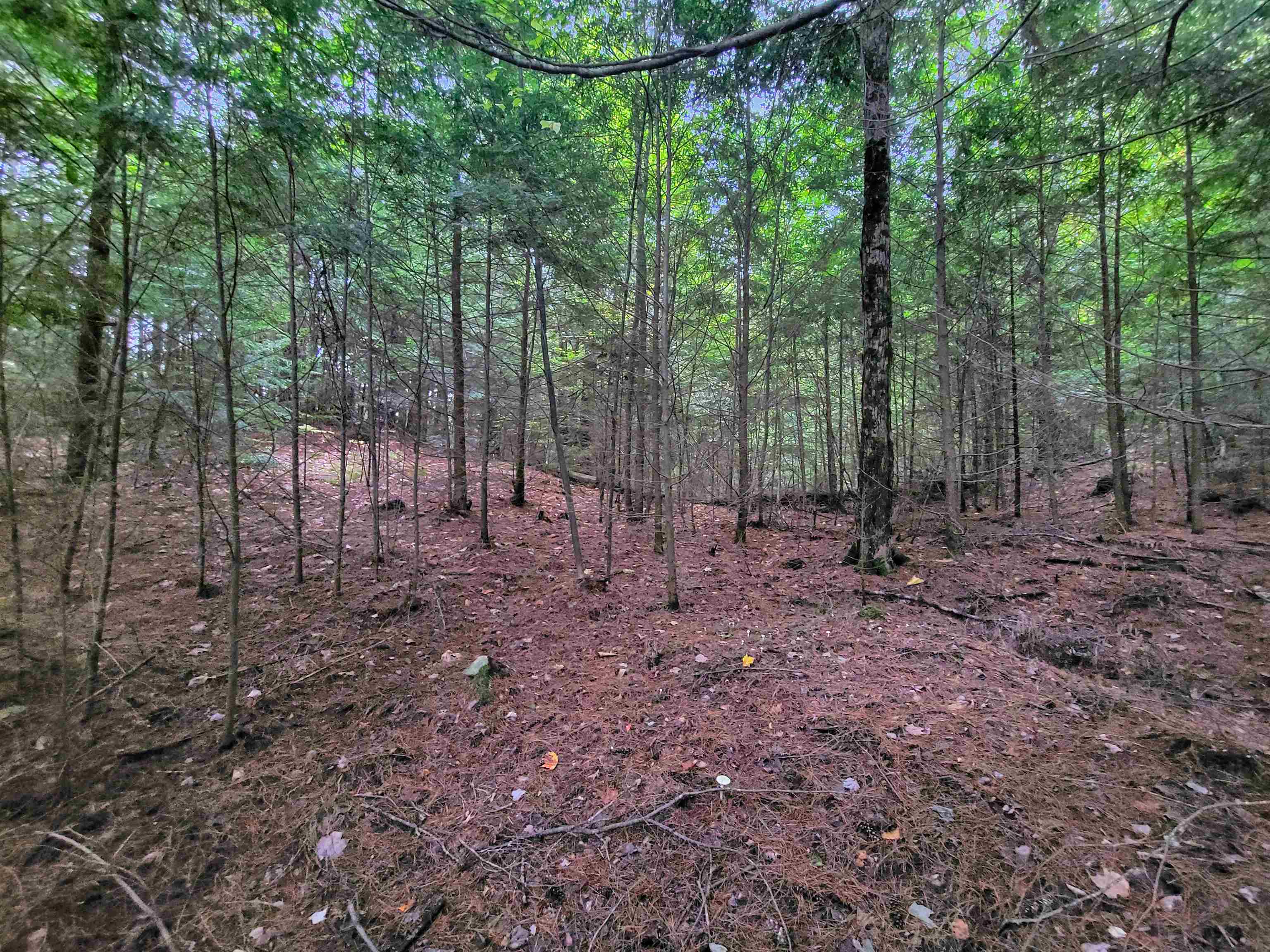 Property Photo: 201-288 White Mountain Road NH 03785