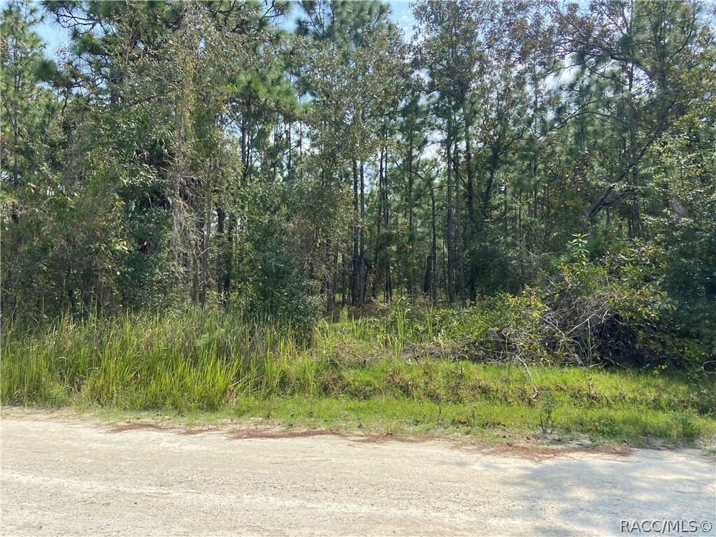 0 Seneca Road  Weeki Wachee FL 34614 photo