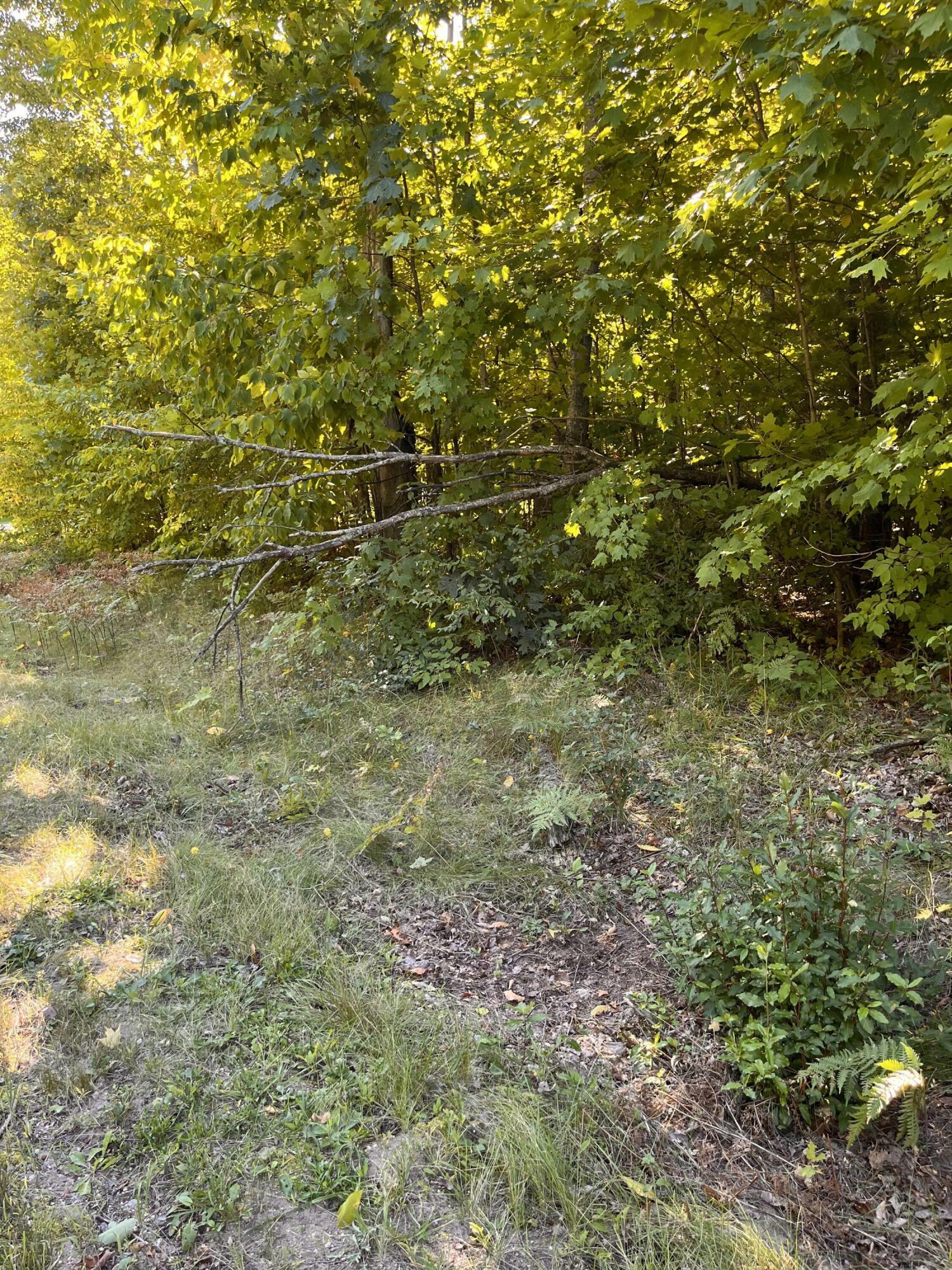 Property Photo:  Deerfield Drive Lot 2  MI 49738 