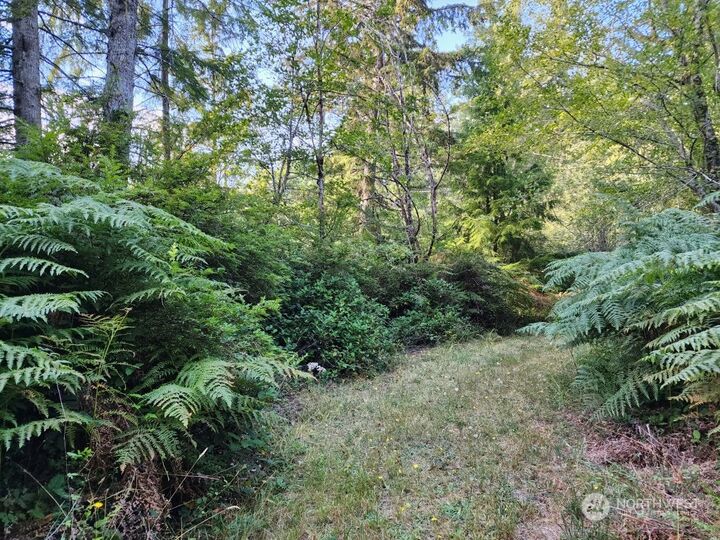Property Photo: 401 E Merlot Lane WA 98584