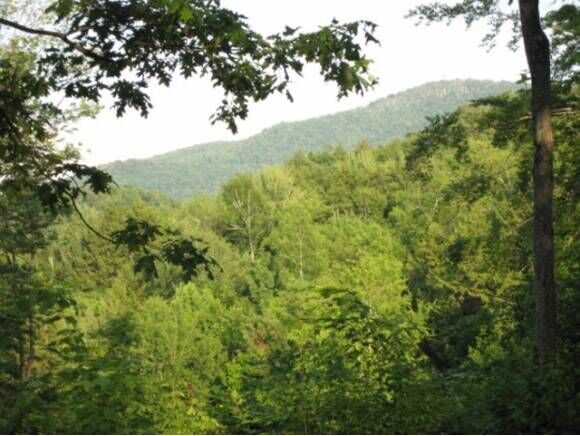 Property Photo:  667 Greystone Road  VT 05477 