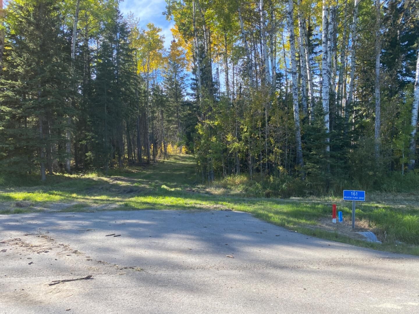Property Photo: 161 Meadow Ponds Drive AB T4T 2A2