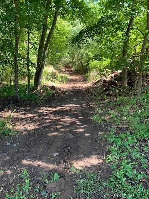 1 Dogburn Lane  Orange CT 06477 photo