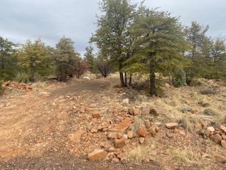 Property Photo:  Lot 16 Hoot Owl  AZ 85541 