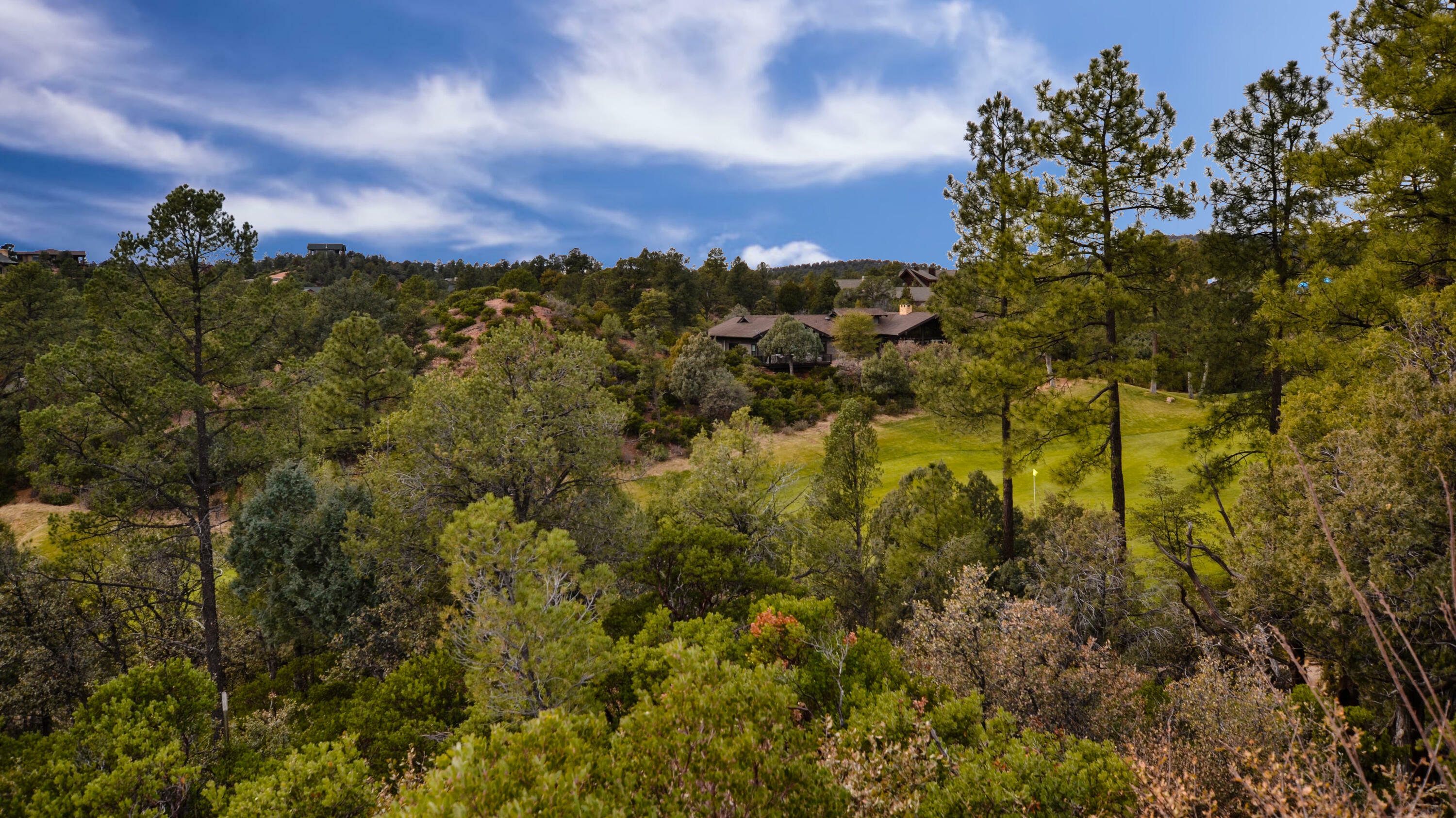 Property Photo:  2310 E Blue Bell Circle  AZ 85541 