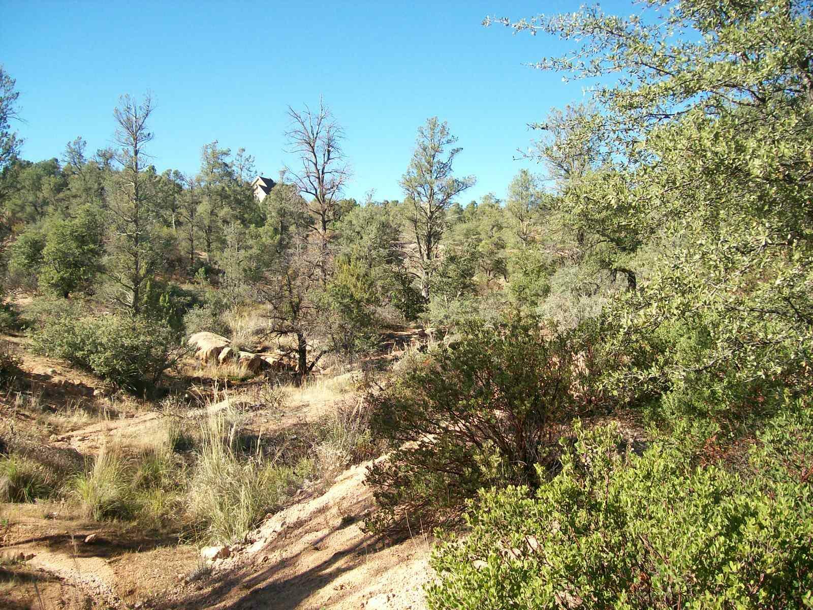 Property Photo:  304 N Antelope Point  AZ 85541 