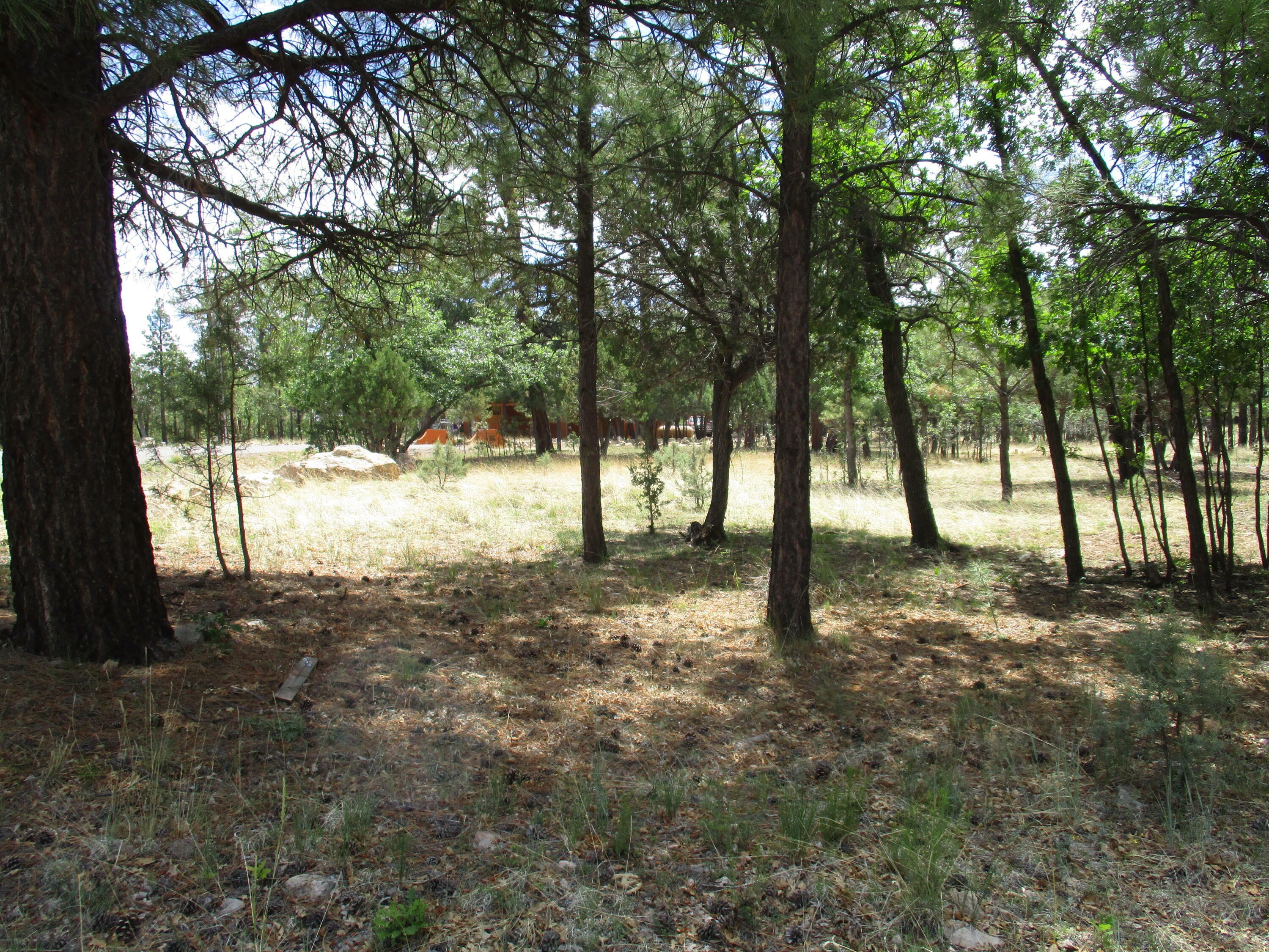 Property Photo:  4184 Mission Circle  AZ 86024 