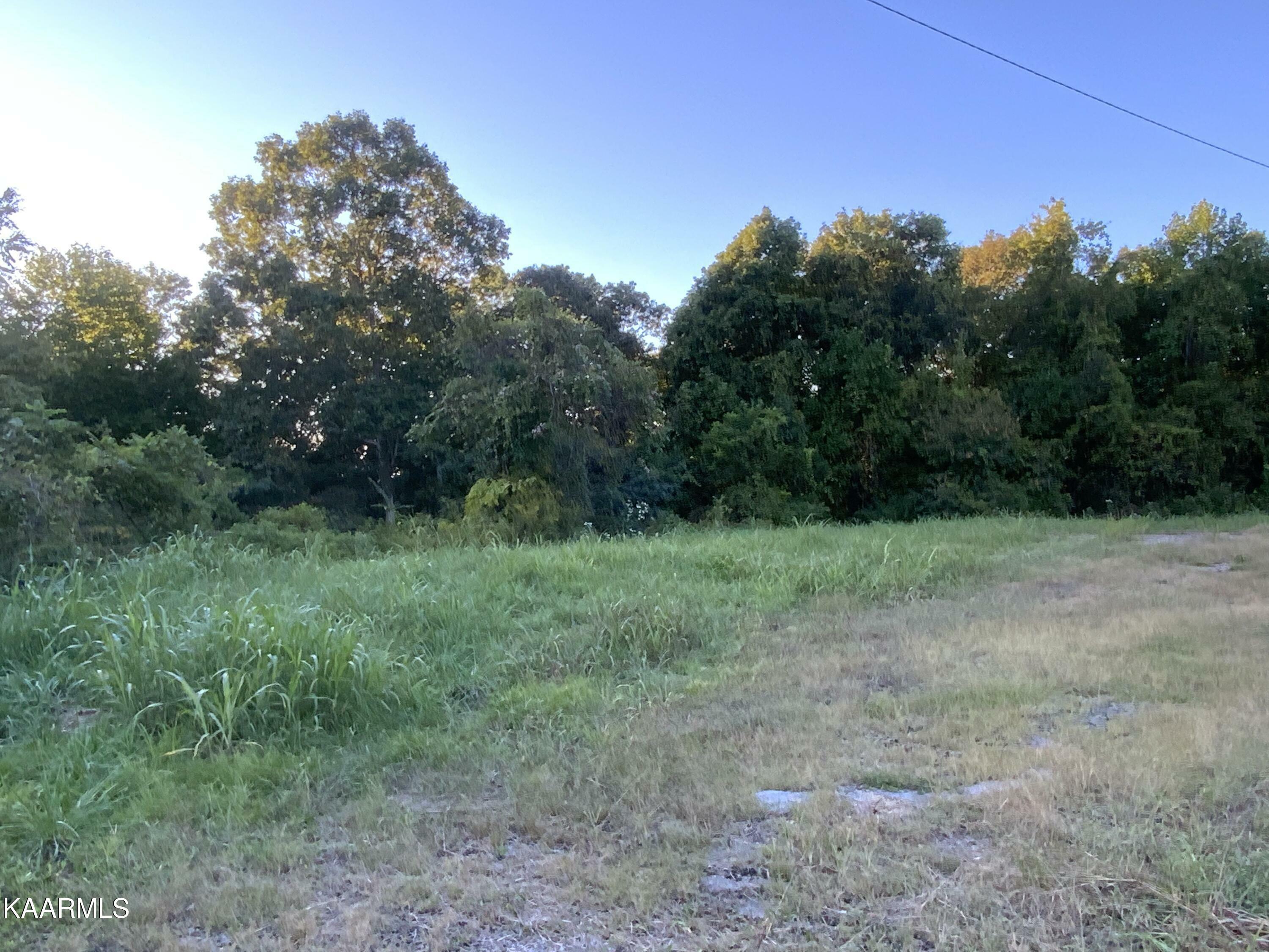 Property Photo:  Decatur Hwy &Amp River Rd  TN 37763 