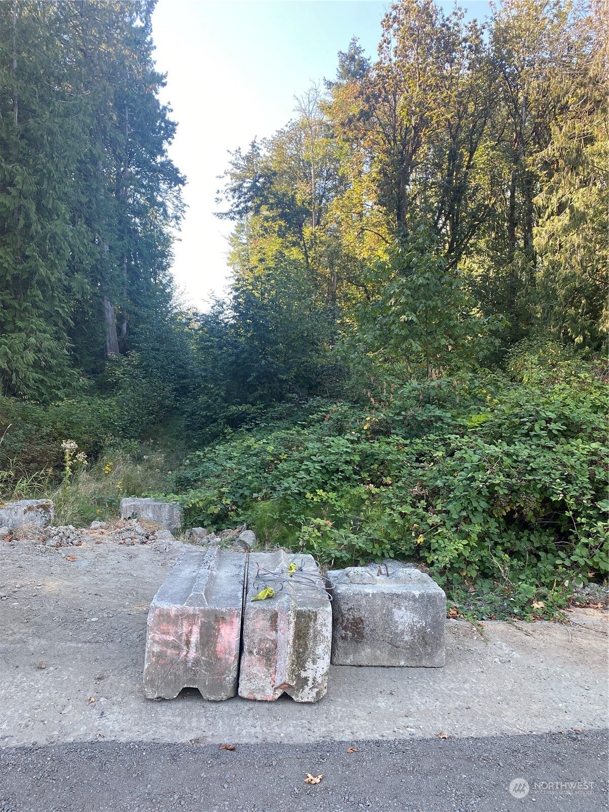 Property Photo:  0 Nevada Ave & Michigan St  WA 98366 